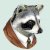 Coding Raccoon