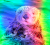 Rainbow Otter